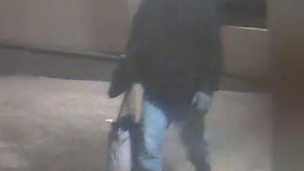 Break and Enter Investigation – Suspect to ID 