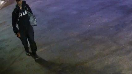 Theft – Suspect to ID 